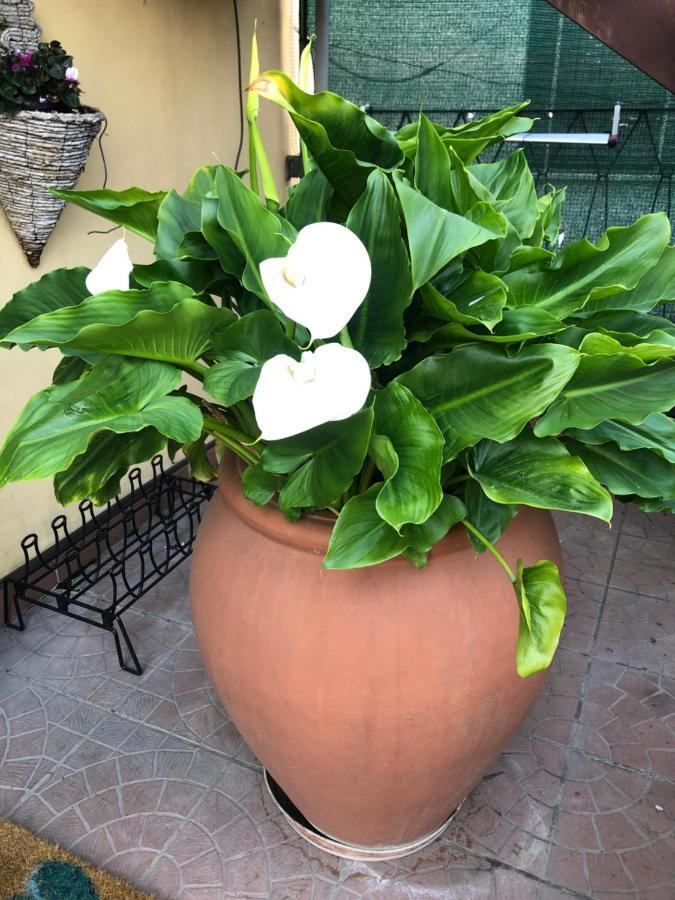 Touristic Apartment "Agata" Sirmione Luaran gambar